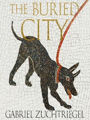 cover image of The Buried City